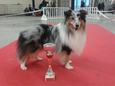 Du Chemin Des Roselières - Flash au Paris Dog Show