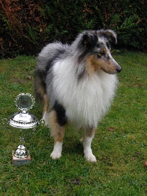 Du Chemin Des Roselières - Flash à l'Eurodogshow, en Belgique