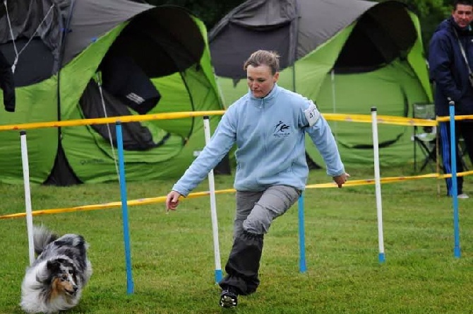 Du Chemin Des Roselières - Concours d'agility de Rosny-Sur-Seine le 14 septembre 2014