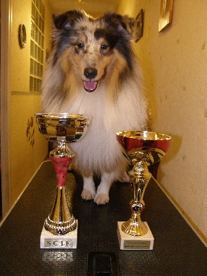 Du Chemin Des Roselières - Paris Dog Show 2013