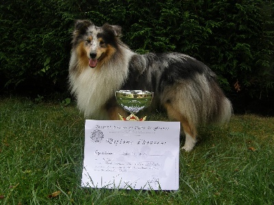 Du Chemin Des Roselières - Flash fait meilleur de race à Pontoise ! 