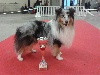  - Flash au Paris Dog Show