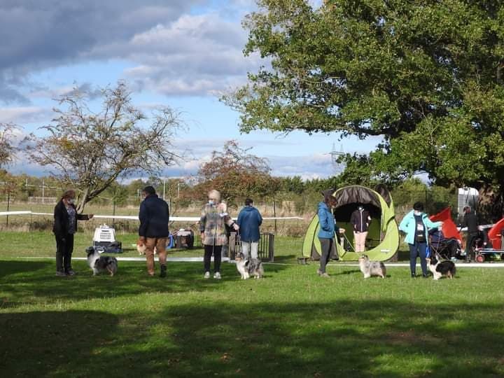 British Pastoral Day