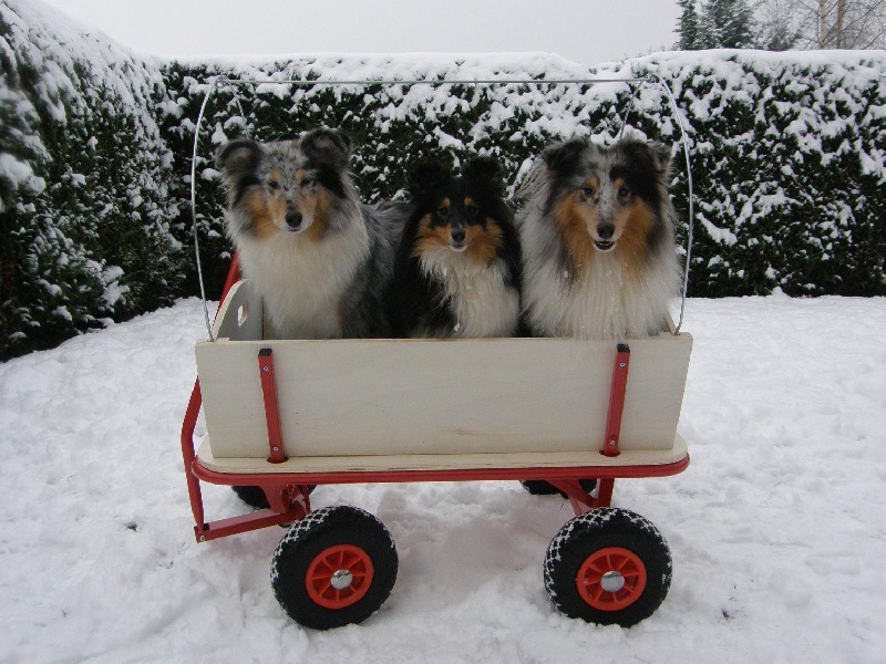 Dans la neige...