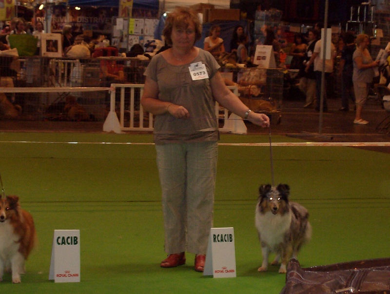 Expositions canines Cheyenne